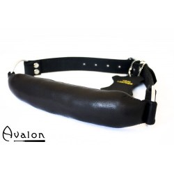 AVA0228_01-500x500