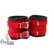 AVA0252_03-500x500
