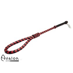 AVA0287_Ridepisk_01-500x500